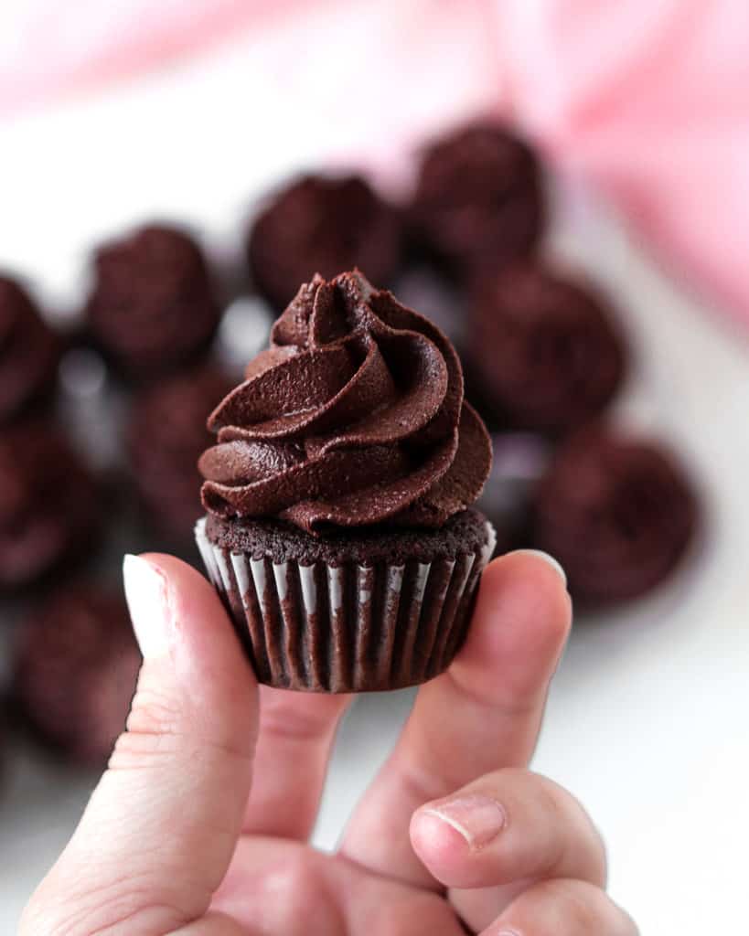 single best chocolate cupcake recipe